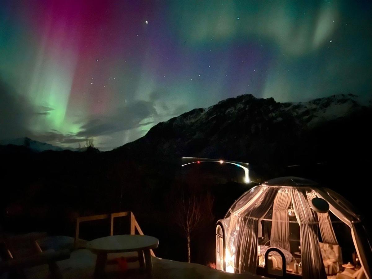 Lofoten Glampingdome Myrland 외부 사진