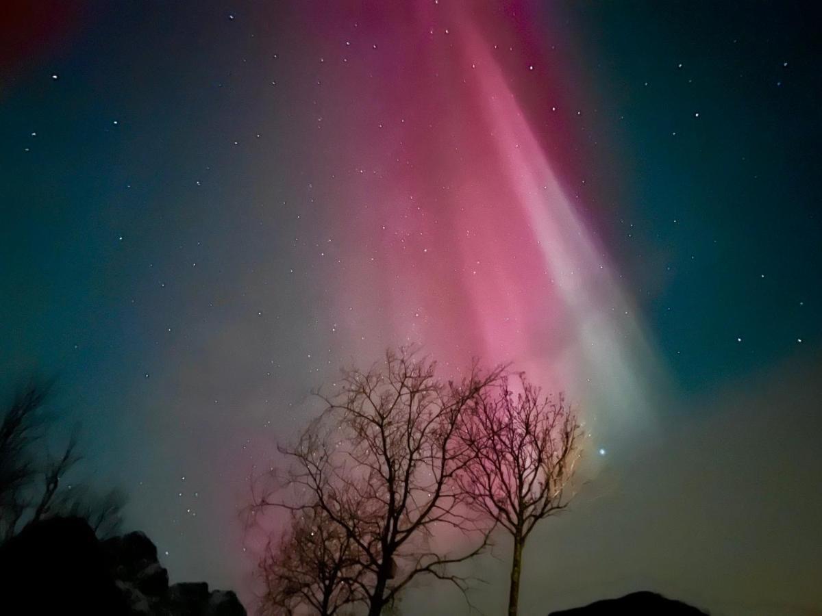 Lofoten Glampingdome Myrland 외부 사진