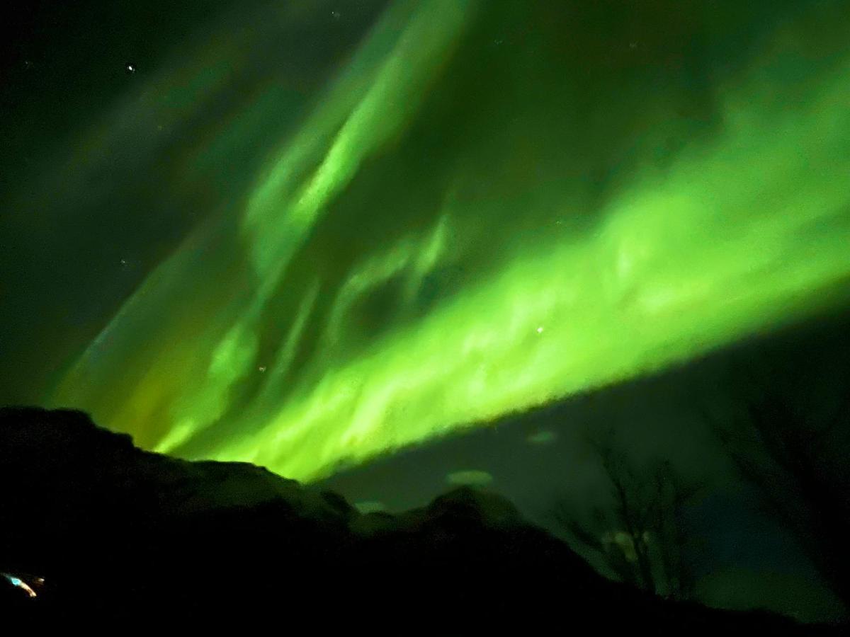 Lofoten Glampingdome Myrland 외부 사진
