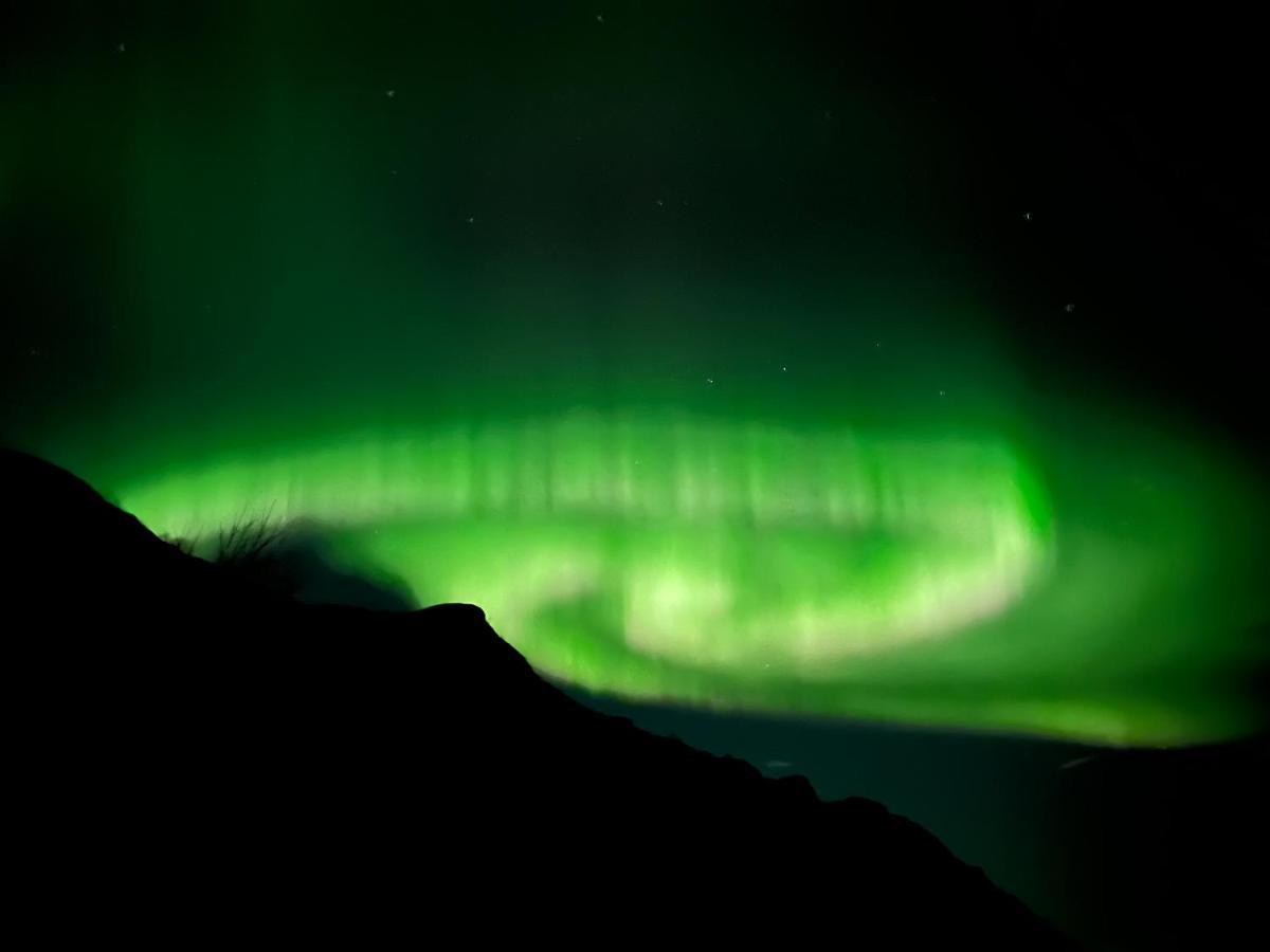Lofoten Glampingdome Myrland 외부 사진