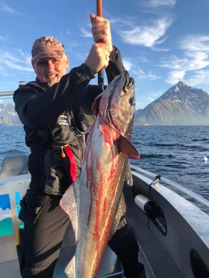 Lofoten Glampingdome Myrland 외부 사진