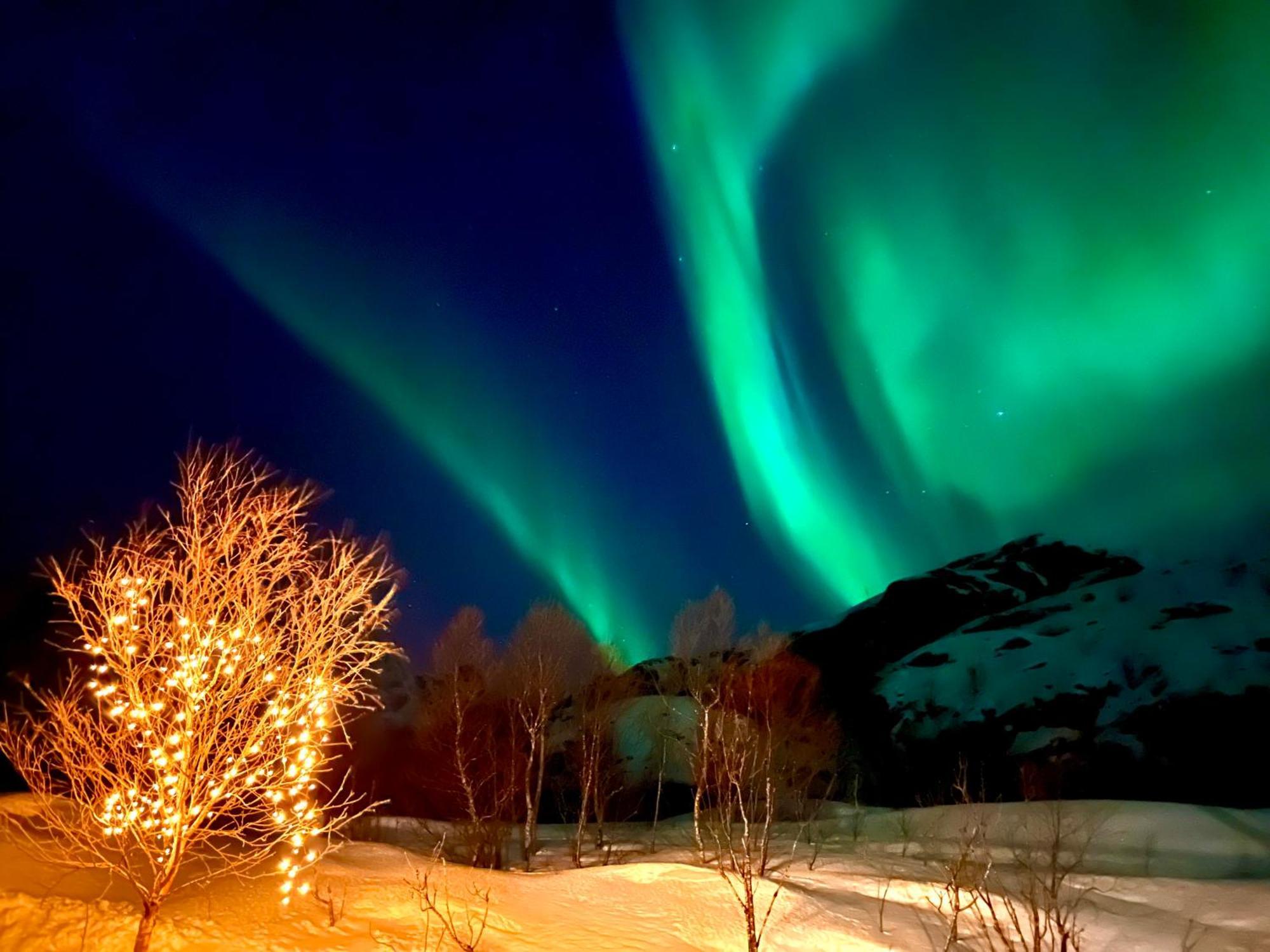 Lofoten Glampingdome Myrland 외부 사진