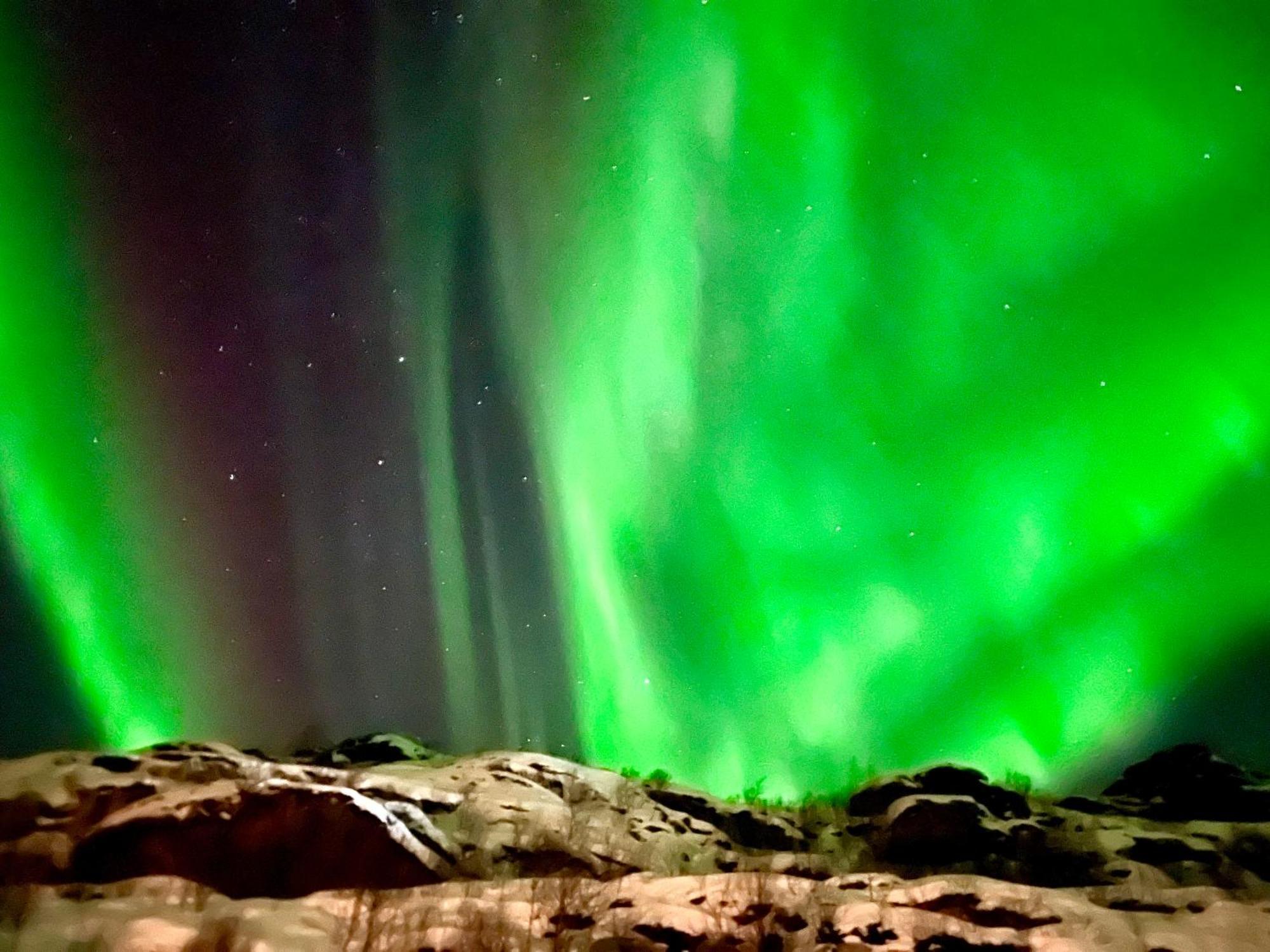 Lofoten Glampingdome Myrland 외부 사진