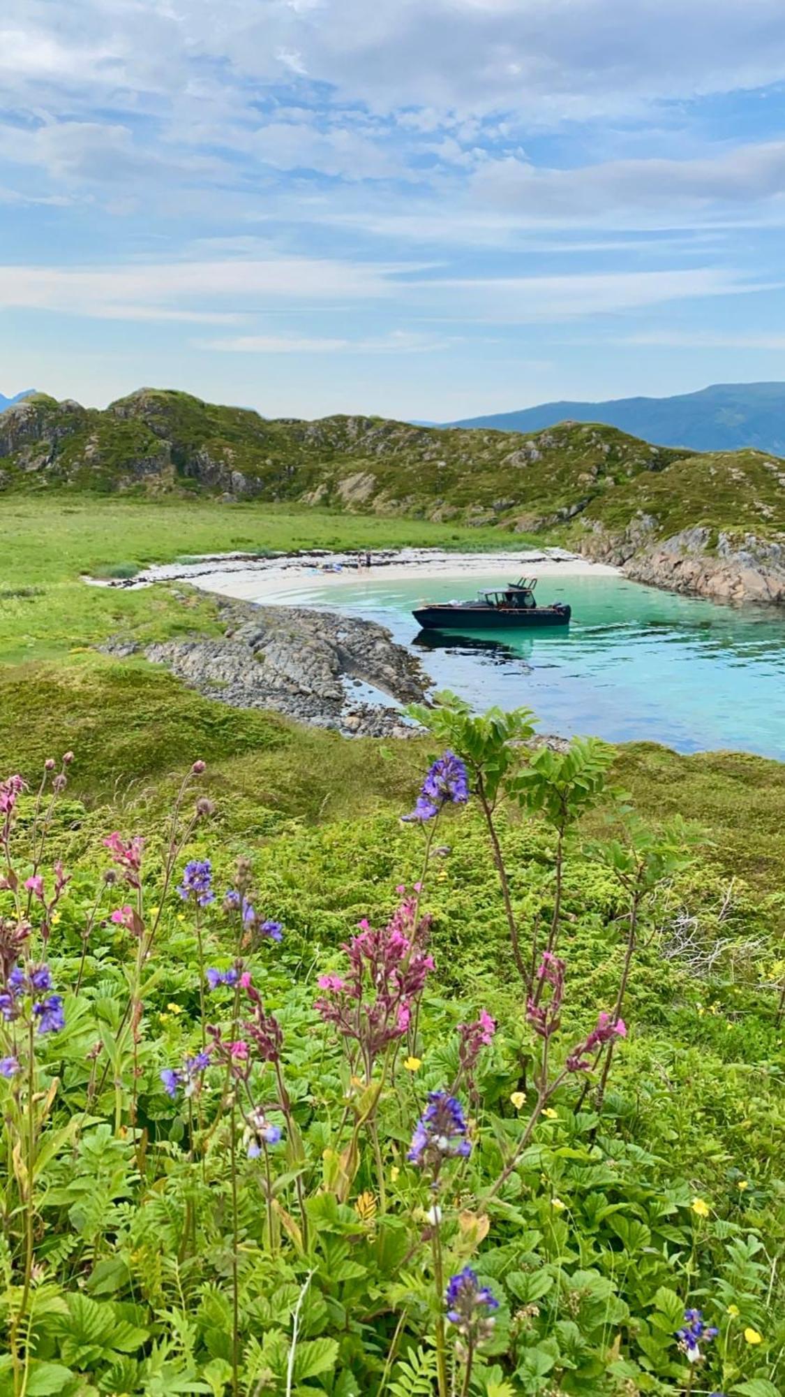 Lofoten Glampingdome Myrland 외부 사진